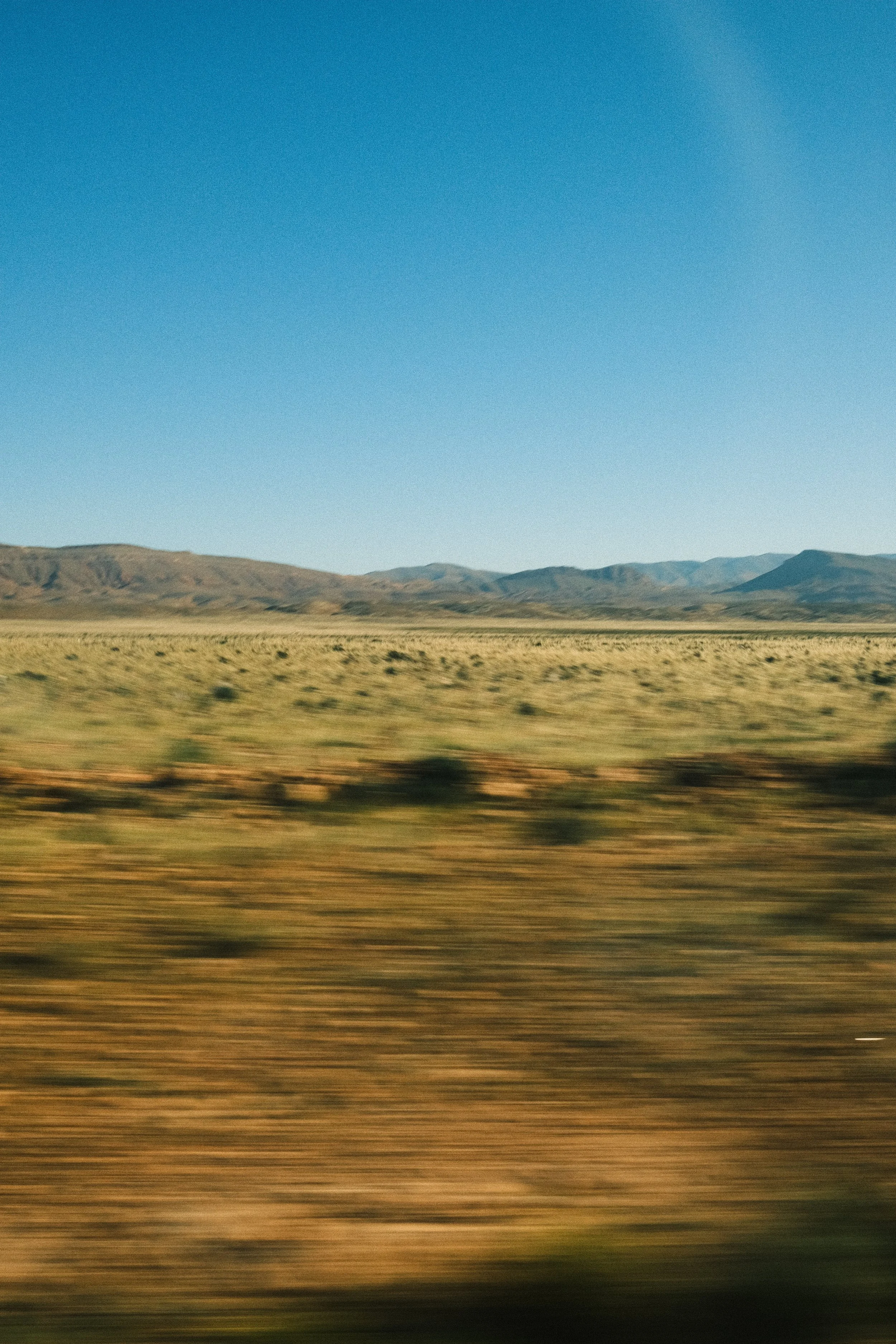 009--004-5.jpg