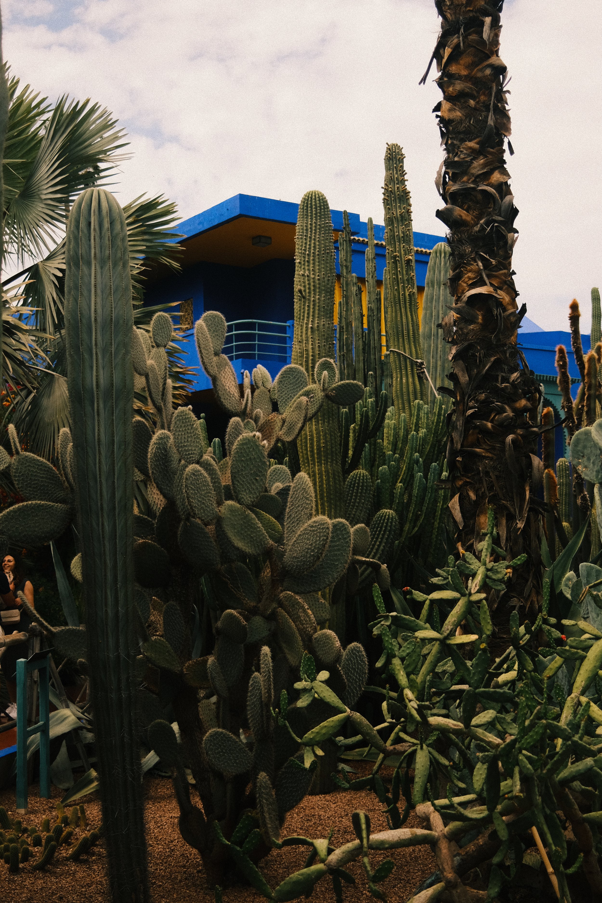 009--004.jpg