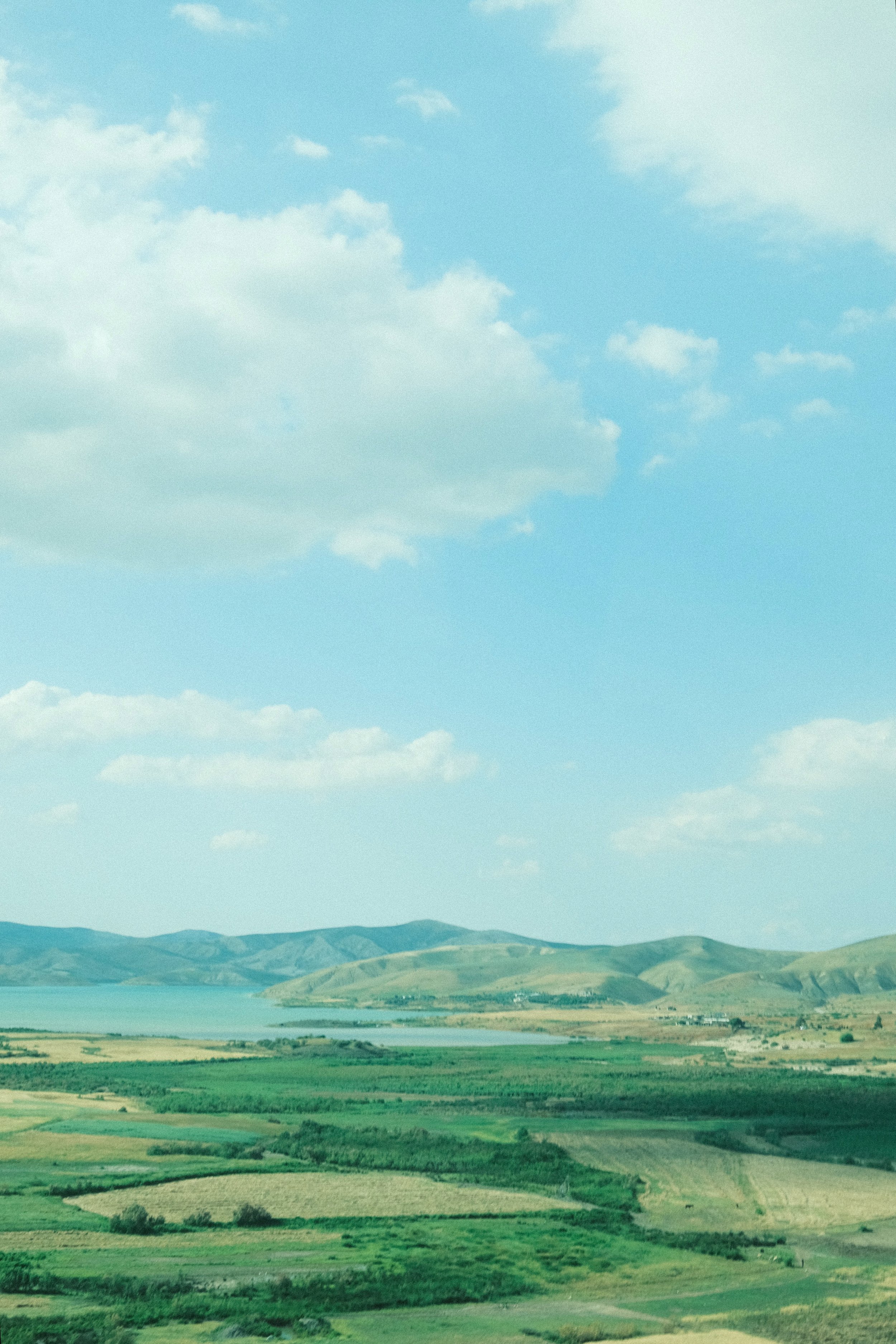 009--004-18.jpg
