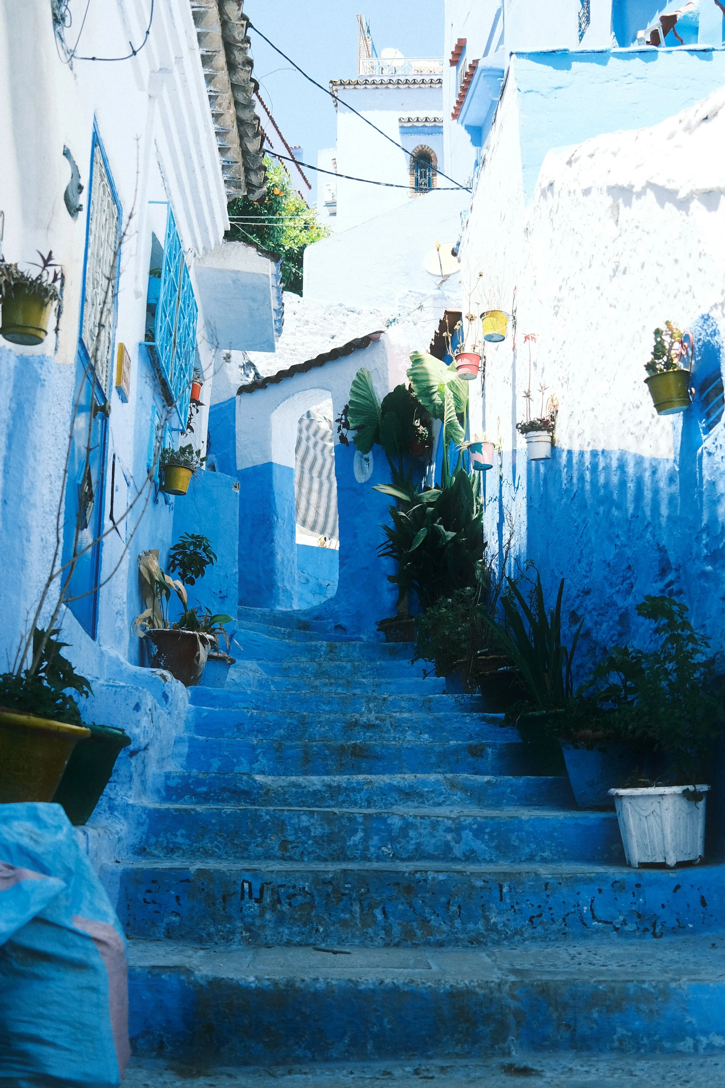 009--004-23.jpg