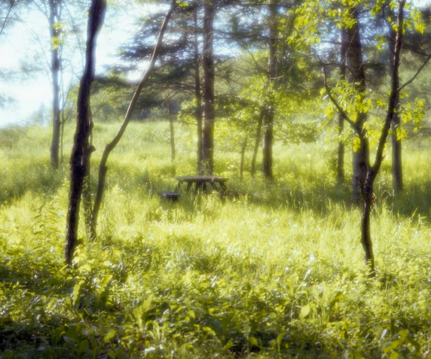 009--004-9.jpg