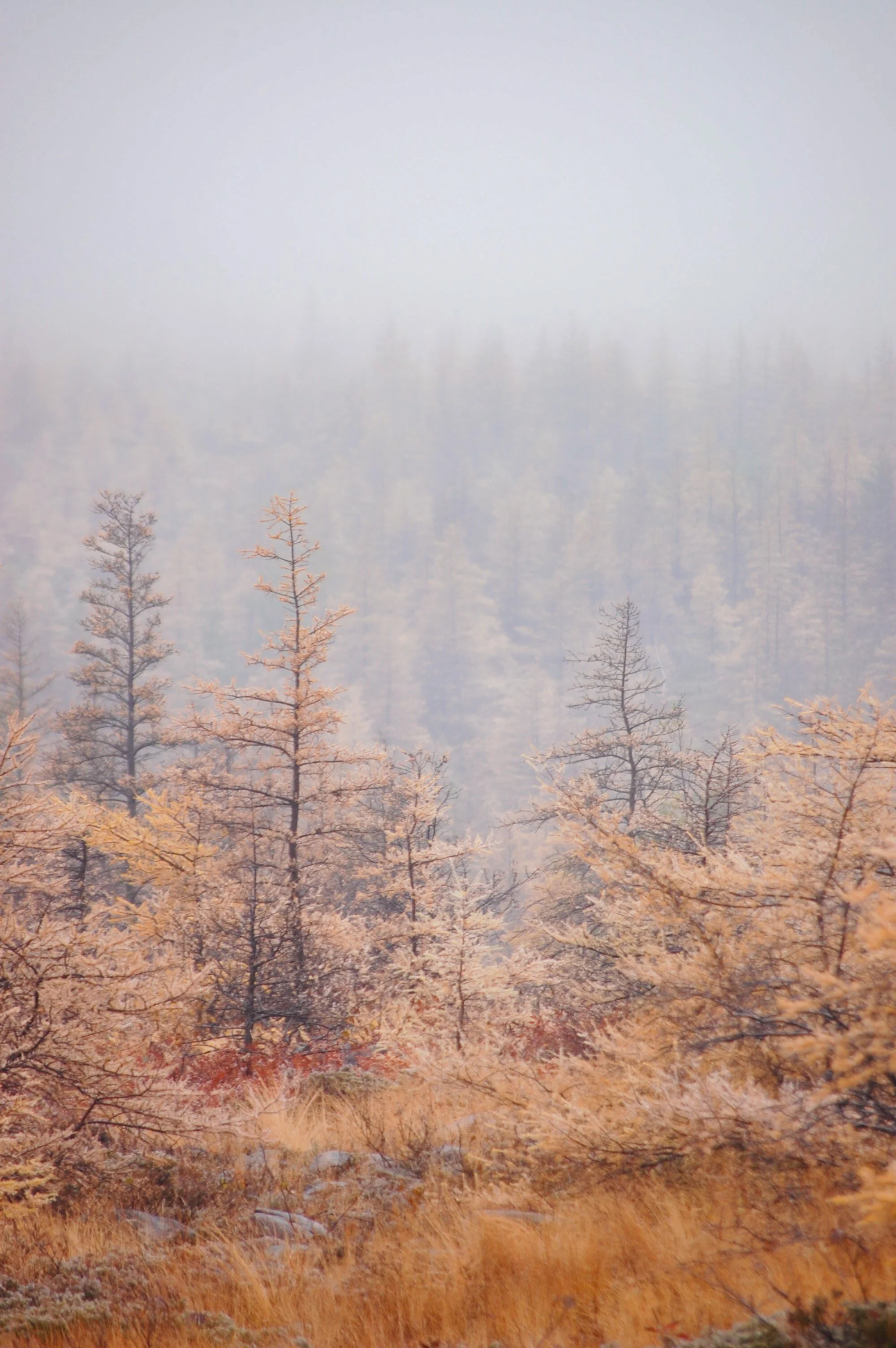 009--004-11.jpg