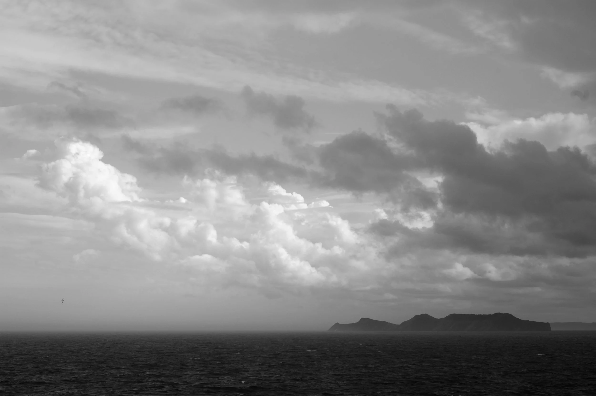 009--004.jpg