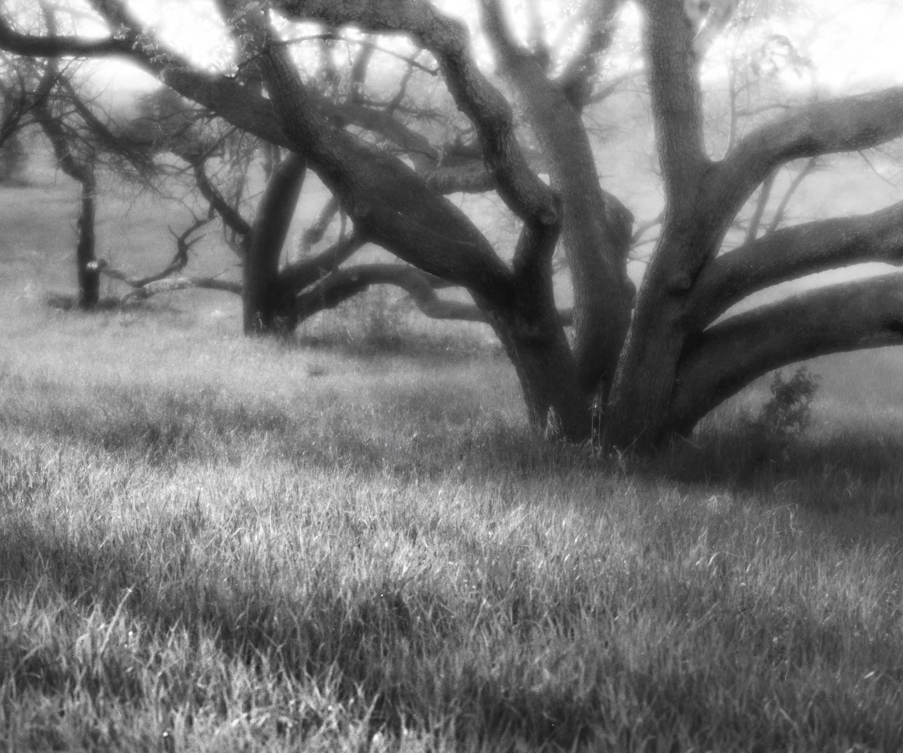 009--004-25.jpg