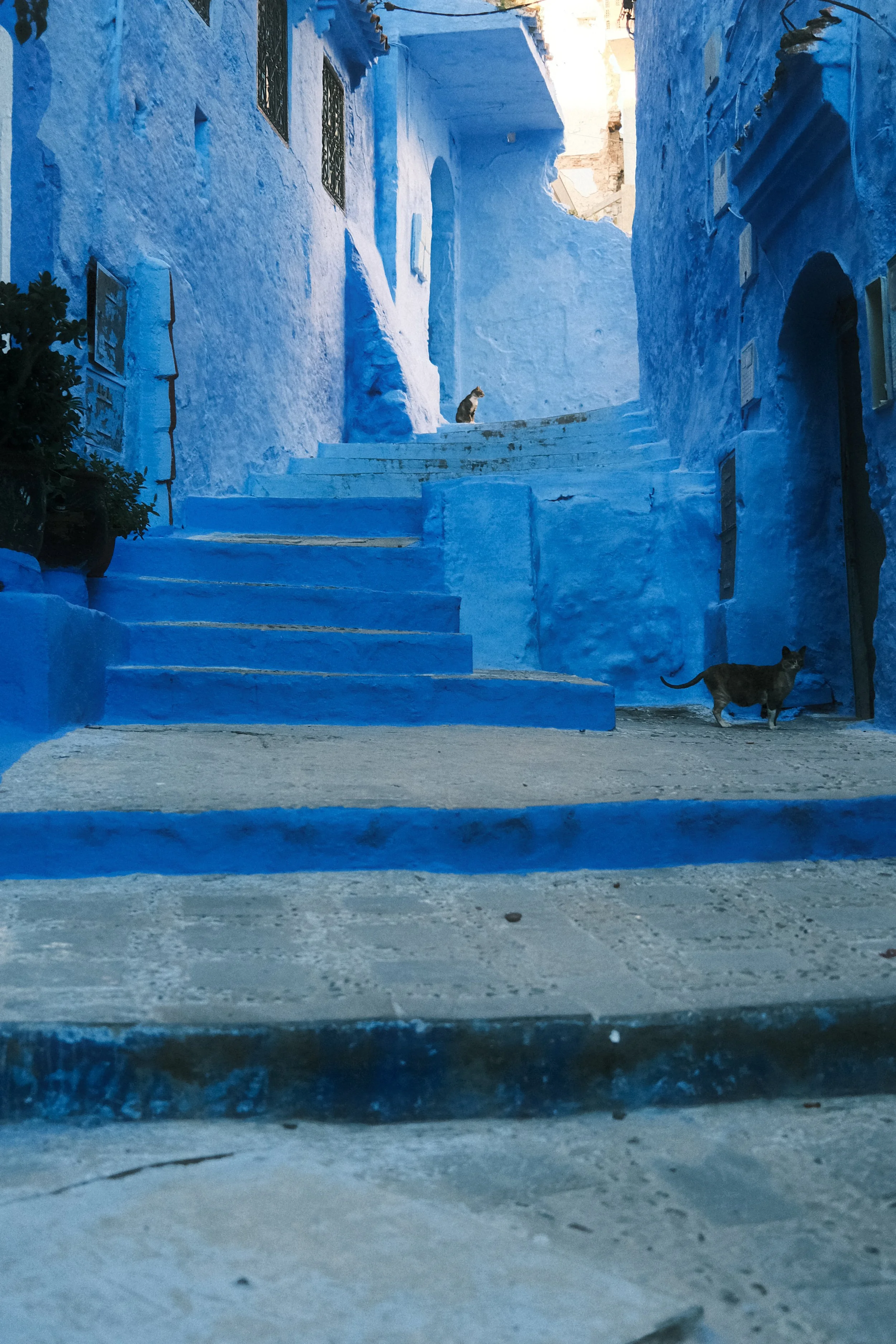 009--004-22.jpg