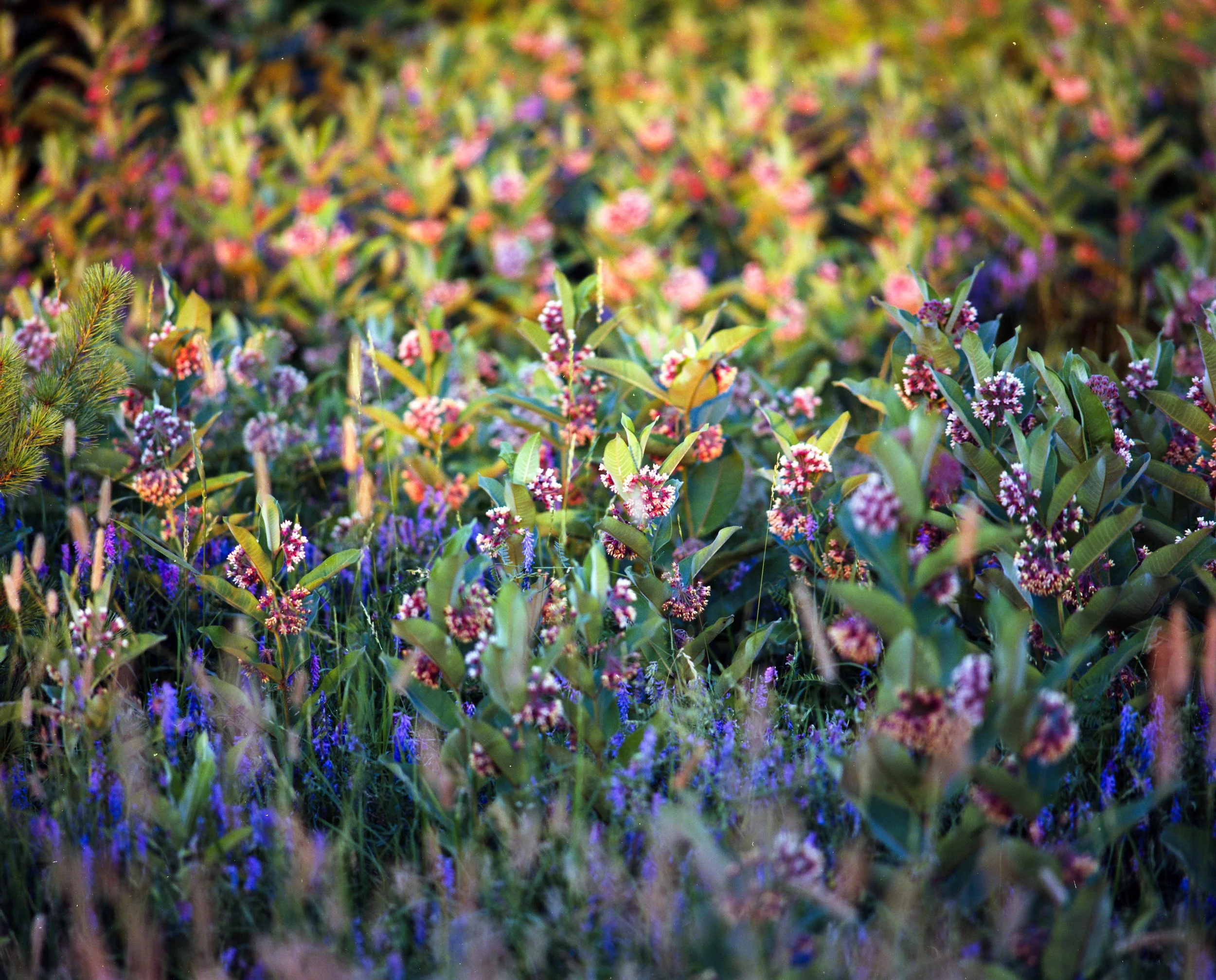 009--004-2.jpg