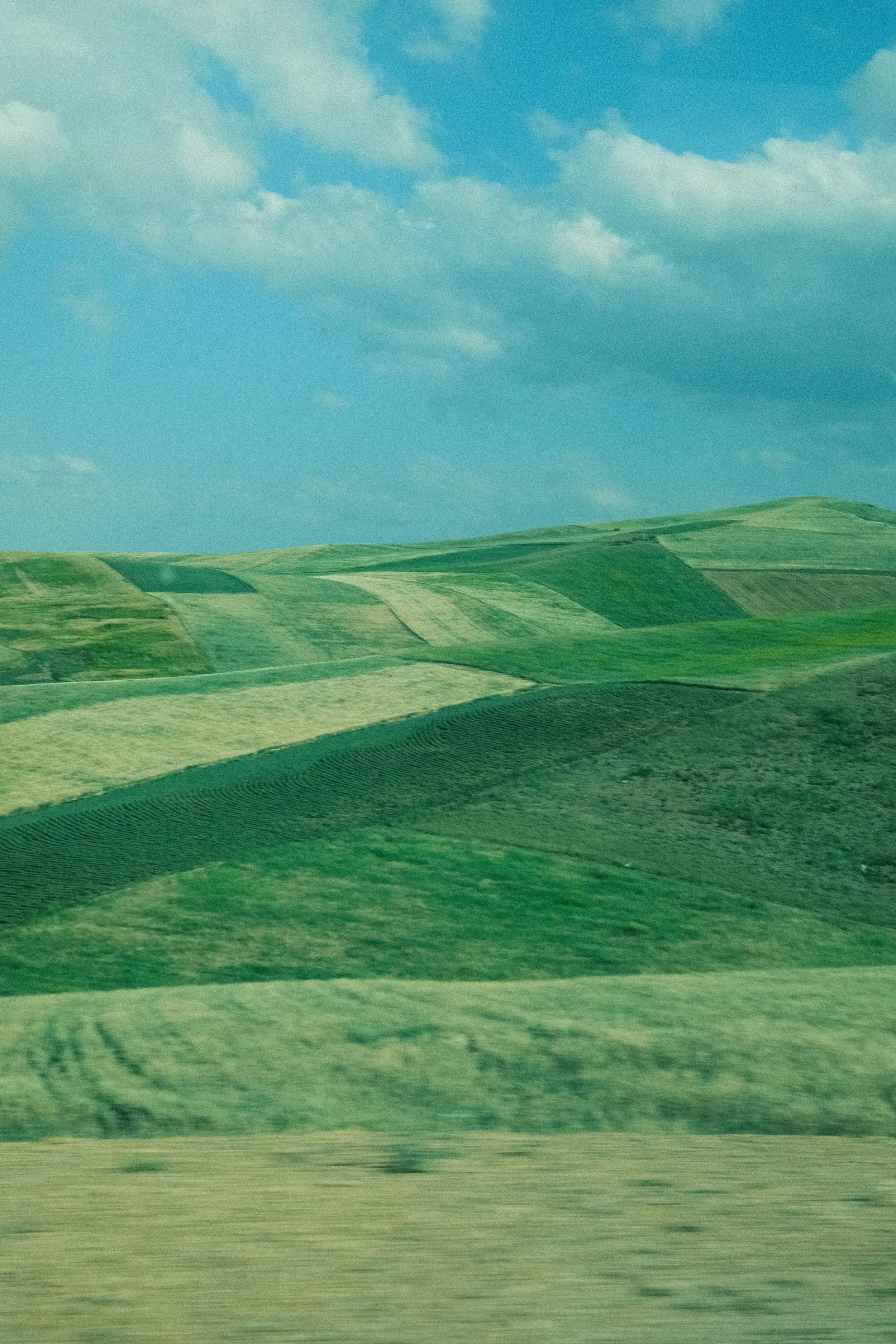 009--004-20.jpg