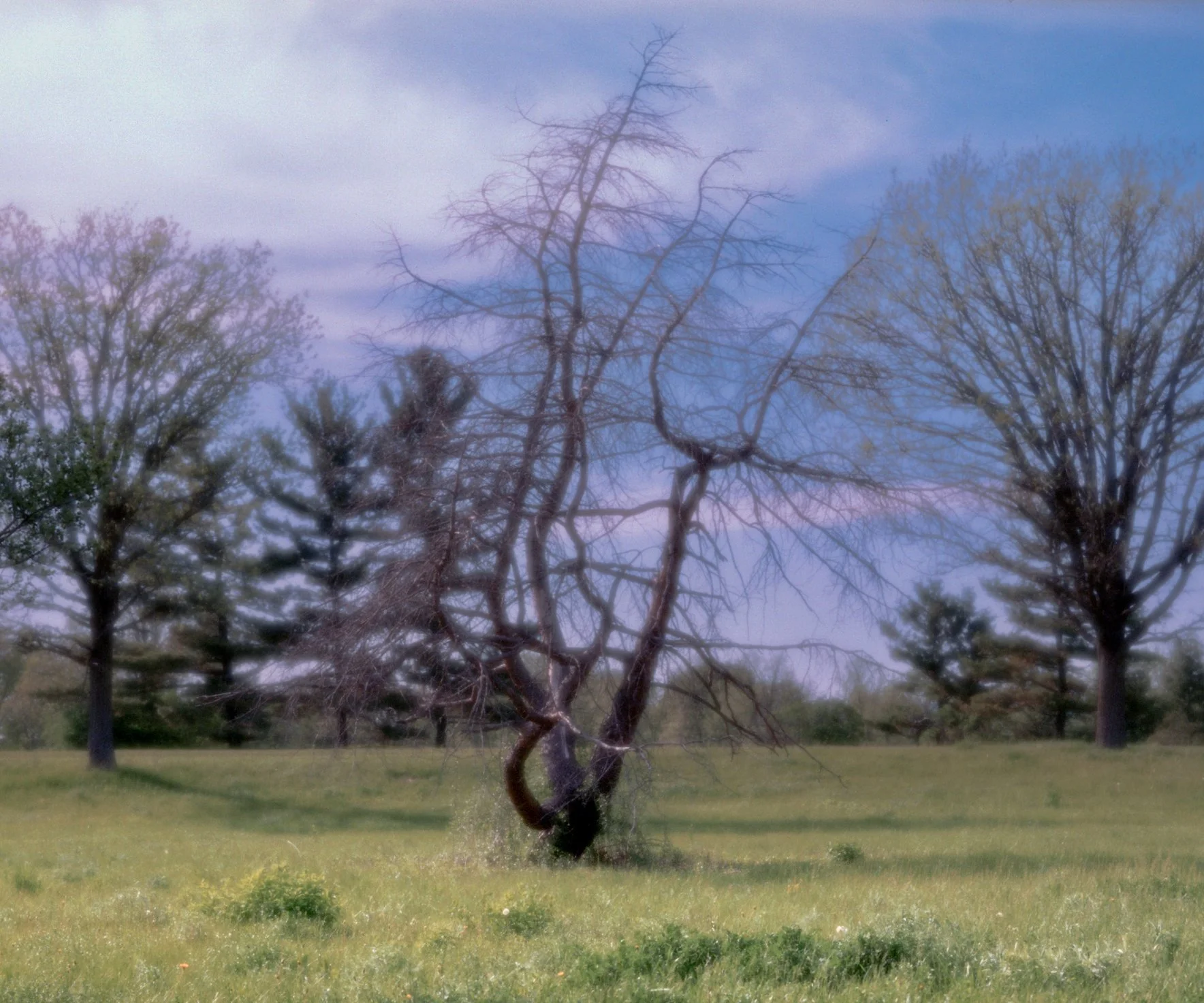 009--004-24.jpg