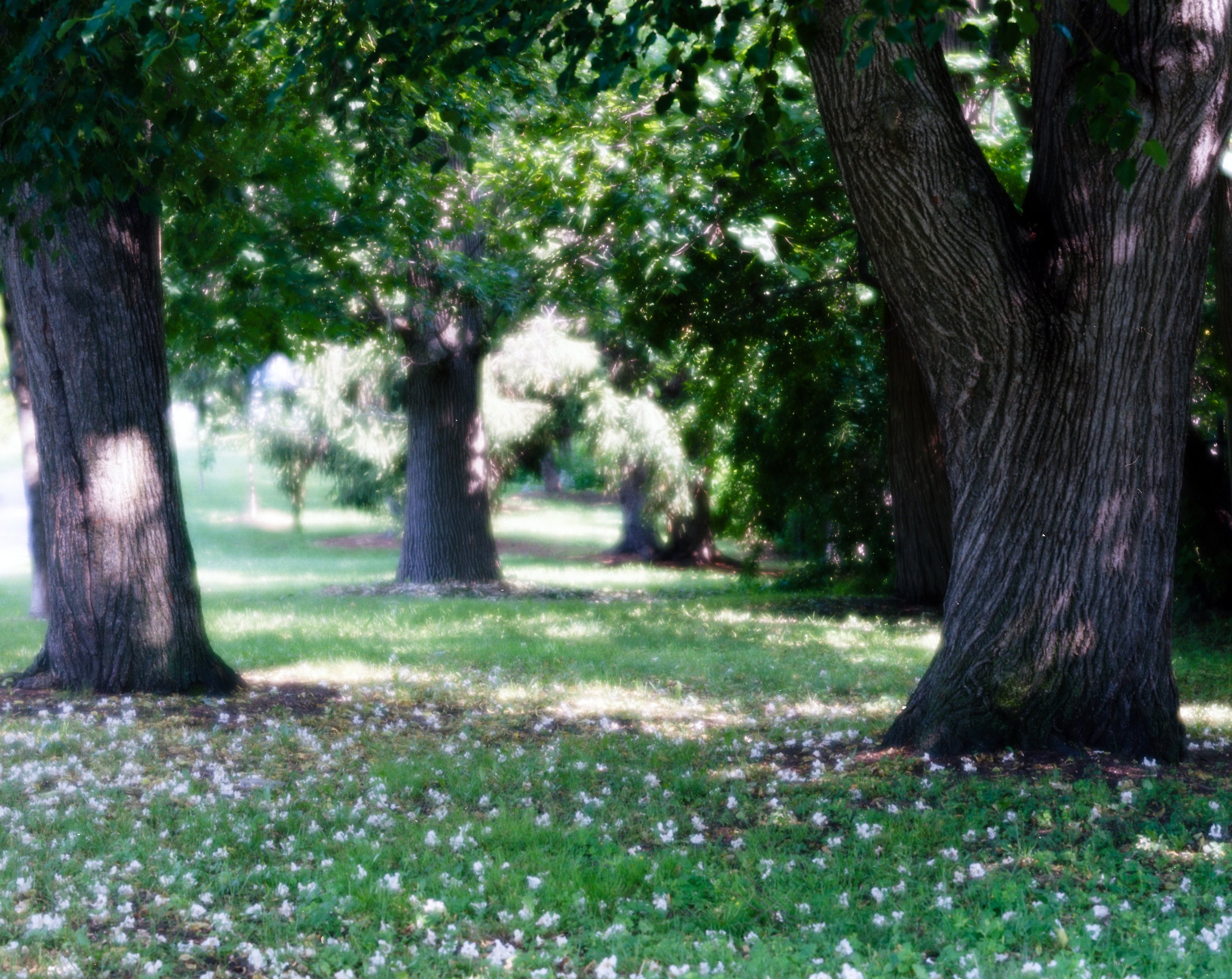 009--004-4.jpg