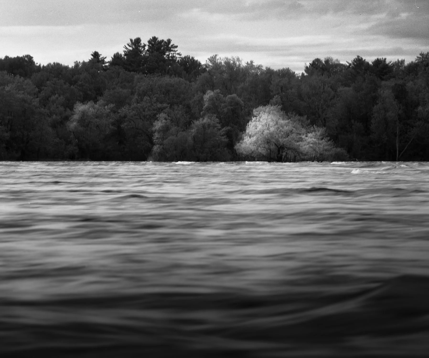 009--004-21.jpg