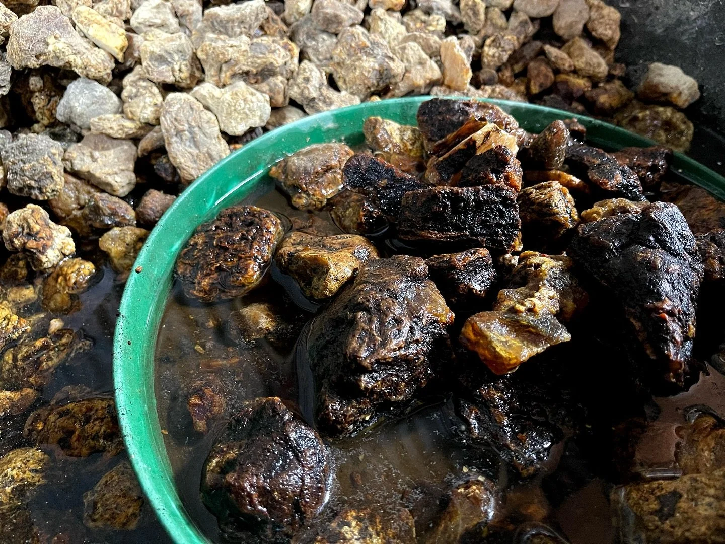 Beneath the rough, unpolished surface of Kauri gum lies a hidden gem&mdash;just like the beauty we carry within us. It may not gleam at first glance, but with time, care, and the right light, its golden essence is revealed. A reminder that true worth