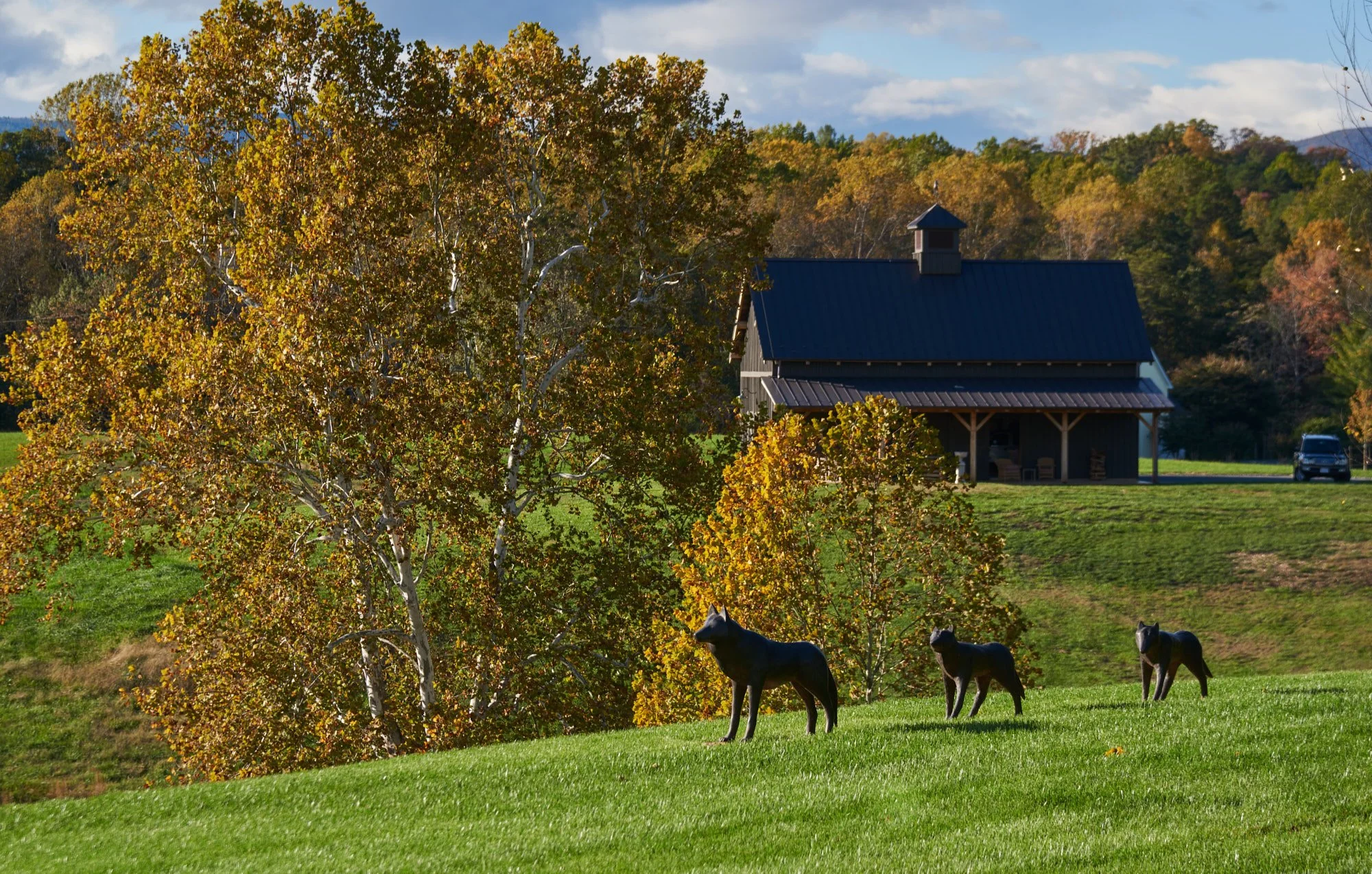 Johnson_Exteriors_20211026_133.jpg