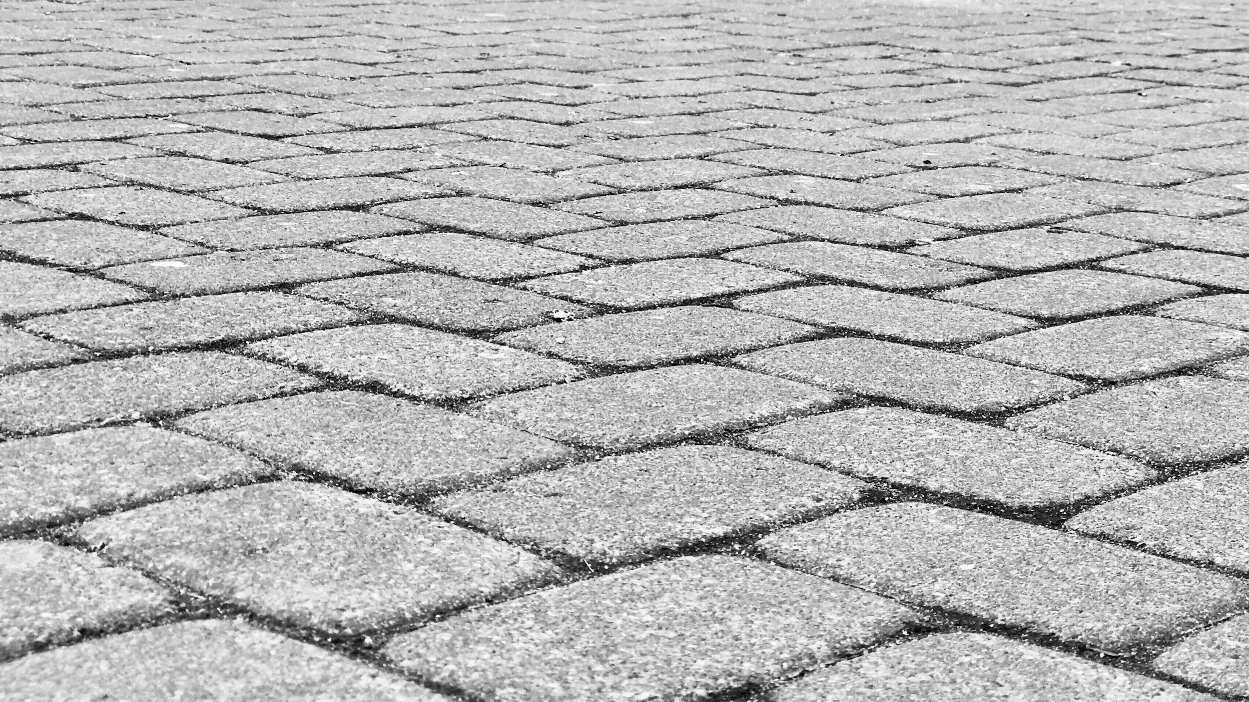 5 Paver Care Tips for Whistler Yards