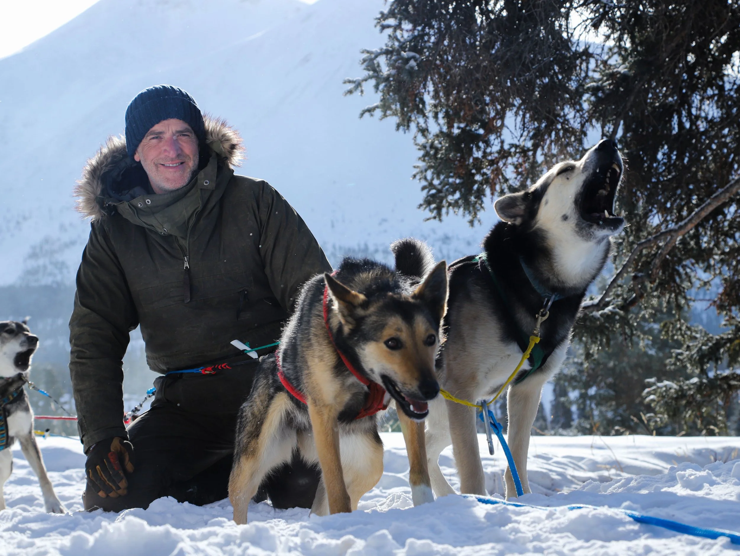 SNOW DOGS: INTO THE WILD