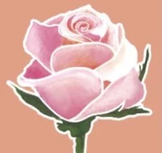 Creative Rose
