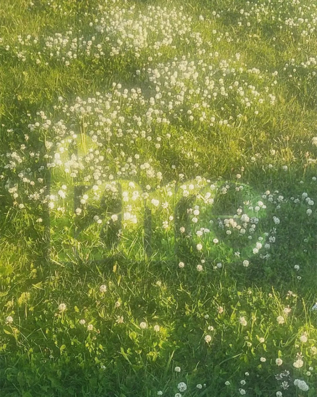 Spring, at Fare, is less about reinvention and more about refinement.

A return to what&rsquo;s essential. A closer look at what&rsquo;s working, what&rsquo;s not, and what&rsquo;s ready to evolve. We approach our work the same way, with clarity, res