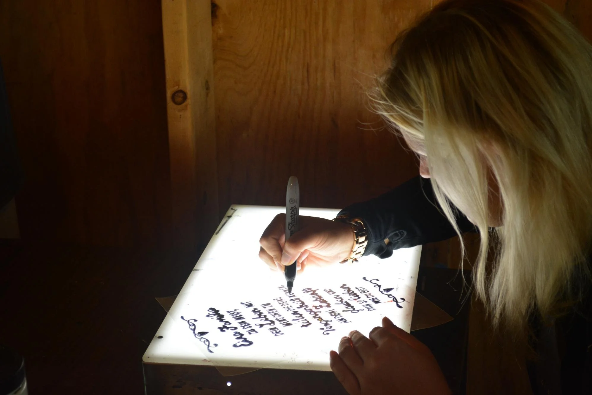 Visual Art Camp Ballibay_DSC_0540.jpg