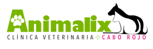 Animalix Clinica Veterinaria