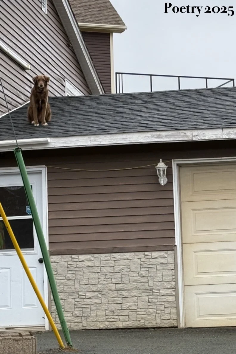 “I Am Not My Mistakes, I Am Much Worse”