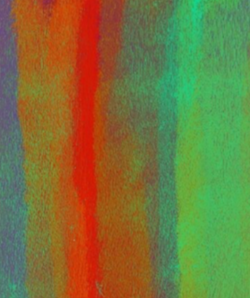 & They All Melt into the Carpet