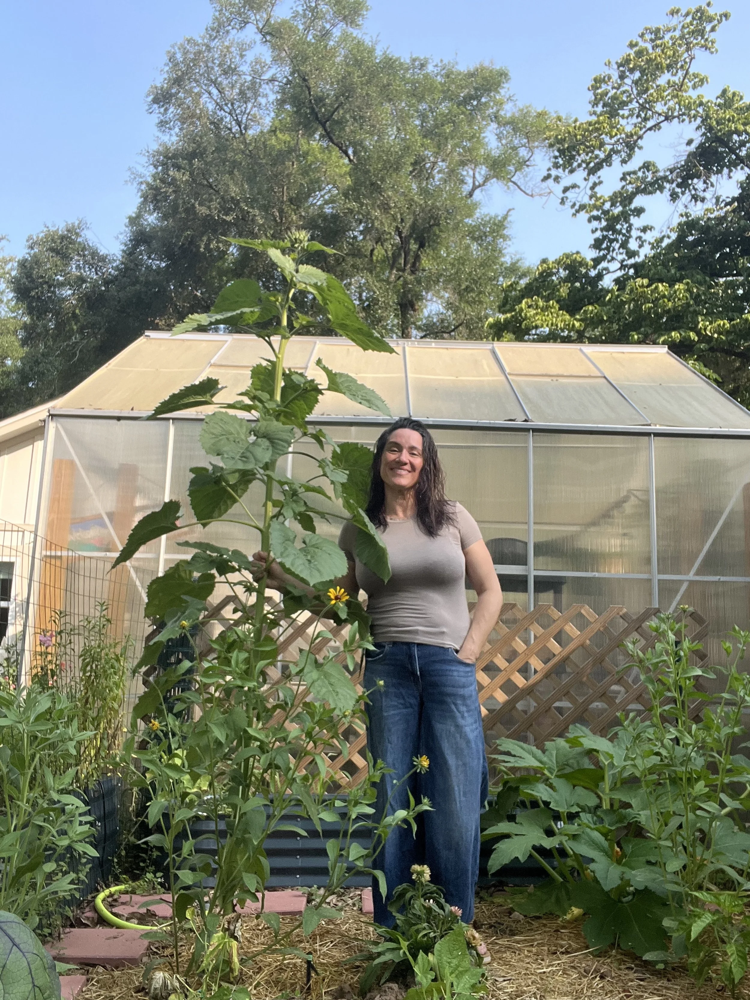 A woman standing in her garden in front of a greenhouse, holding a tall sunflower plant, with other plants and flowers around, under a clear blue sky.