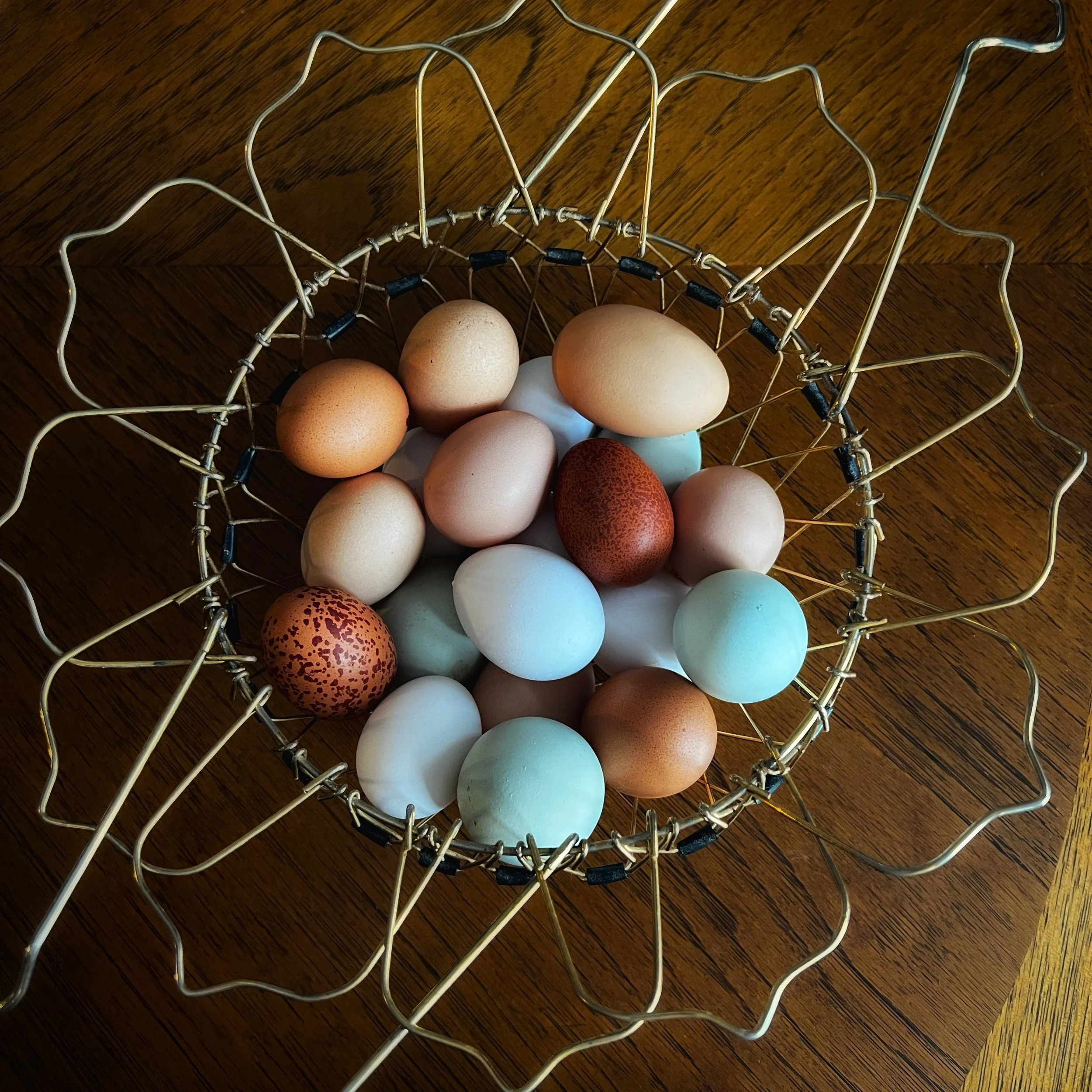 French Wire egg basket with colorful eggs