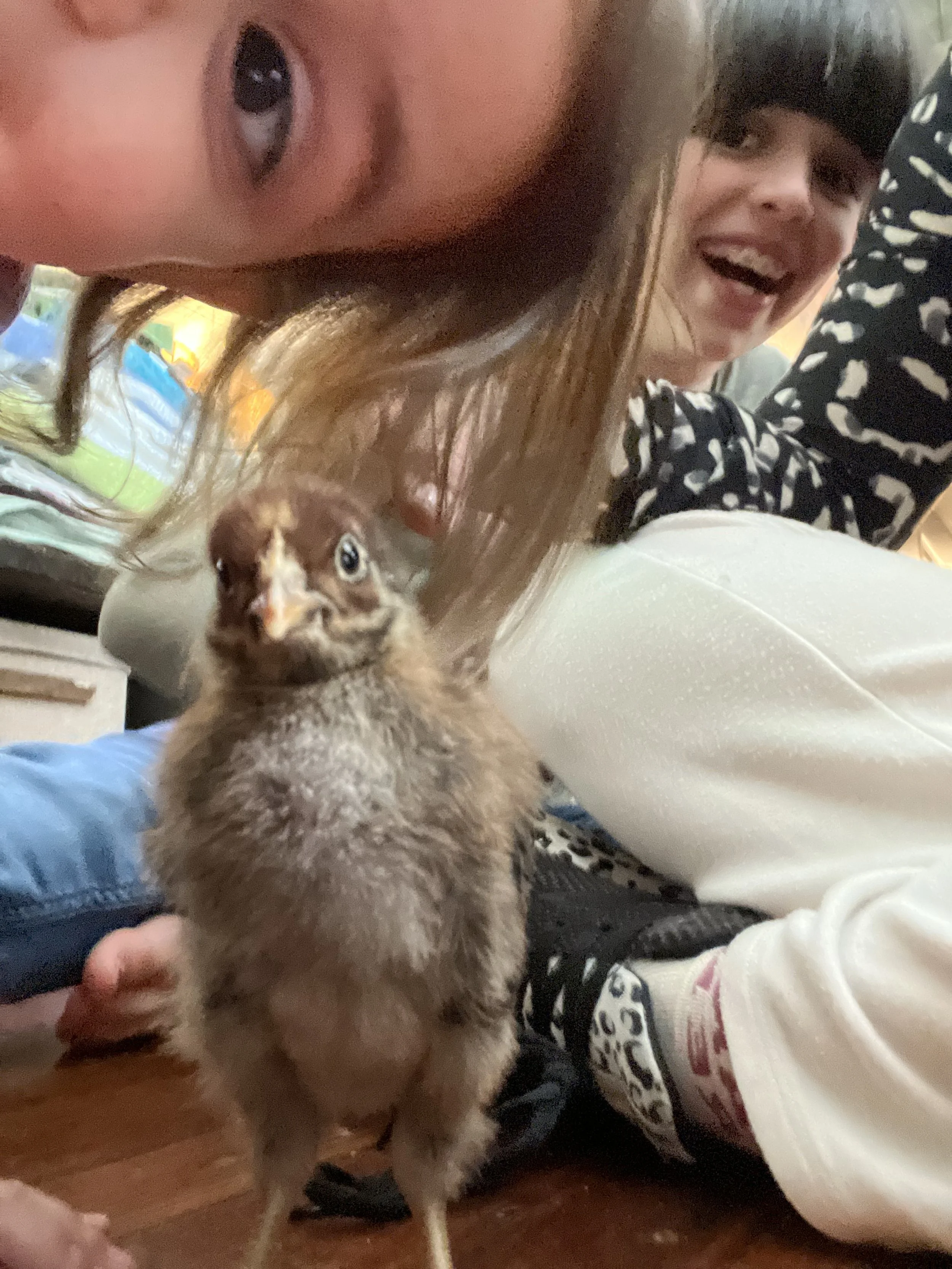 close up of a chick with kids in the background
