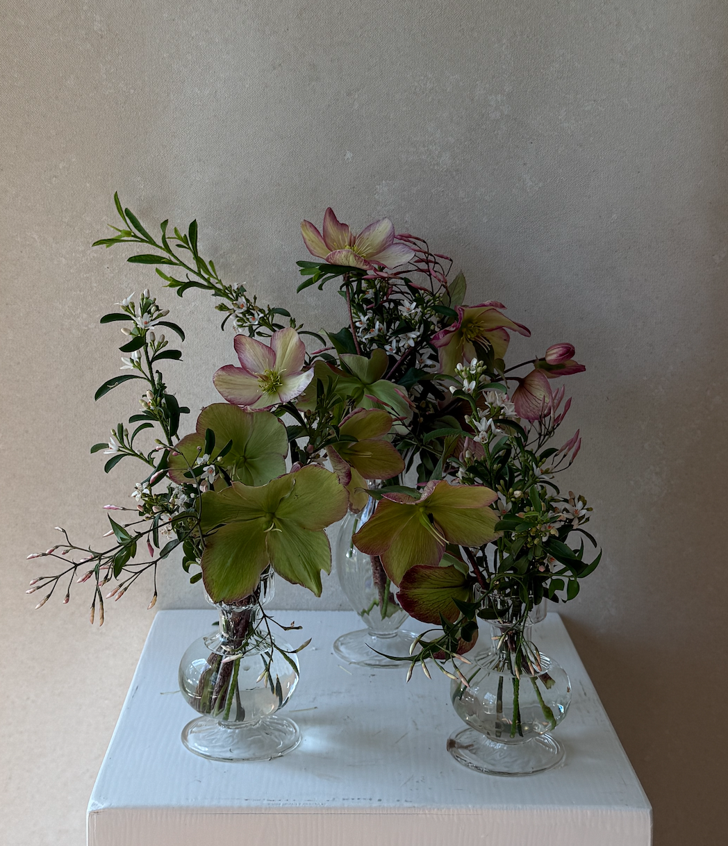 Screenshot 2026-03-05 at 4.30.29 PM.png