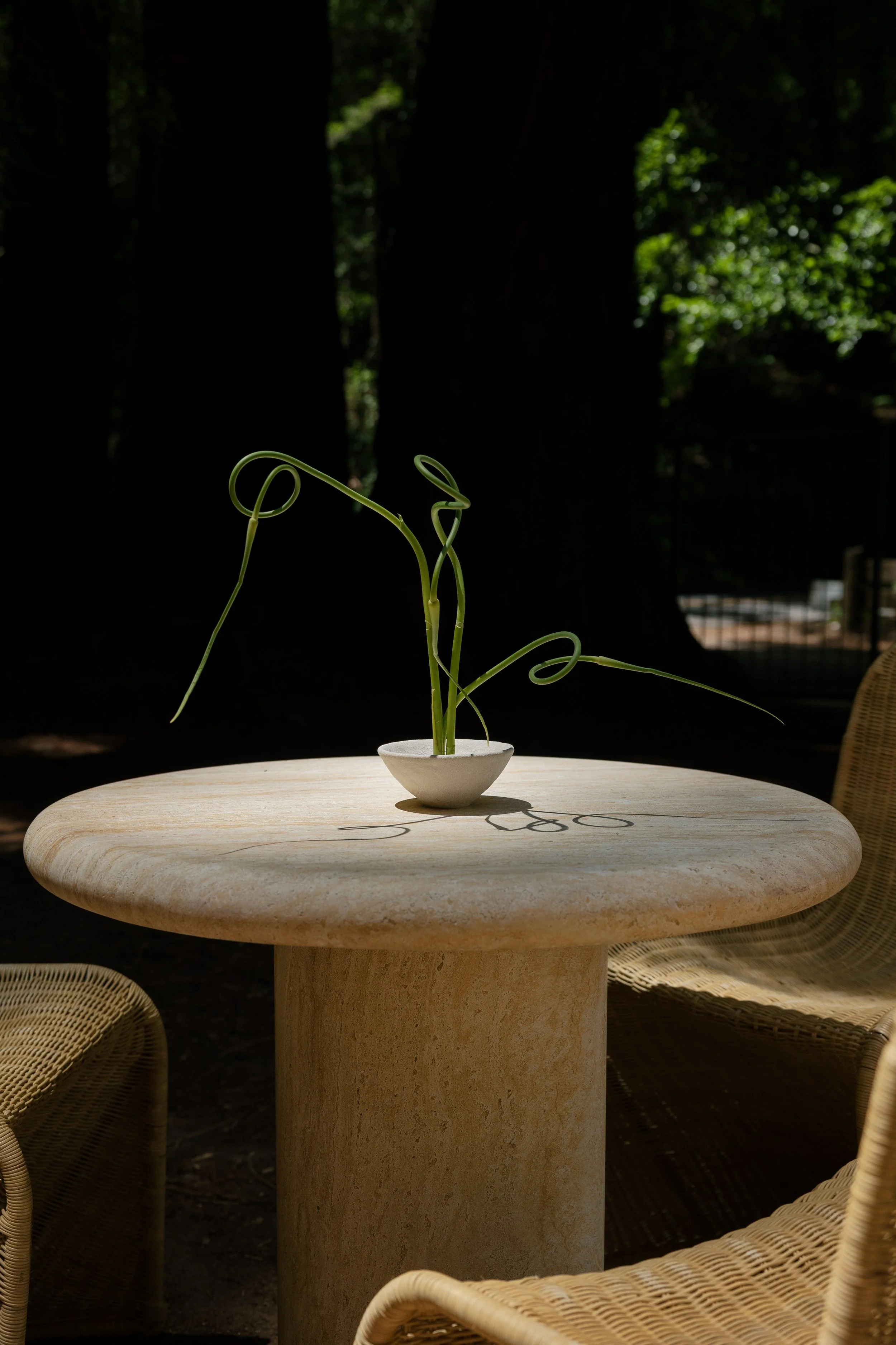 earthandevents_thousandcurrents_eventdetails-21 (1).jpg