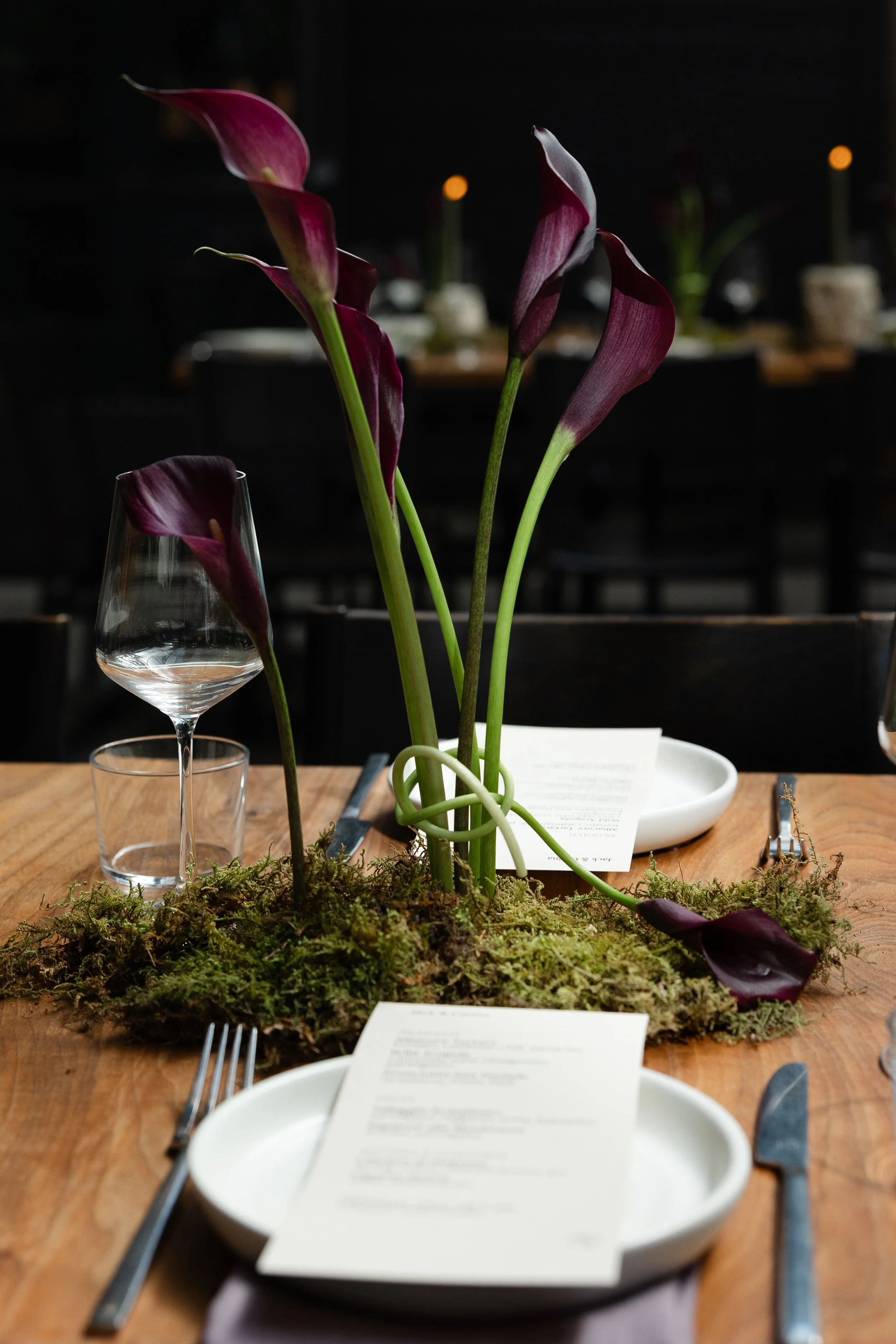 AllisonStoddard_CarinaJackPennyRoma-28 (1).jpg