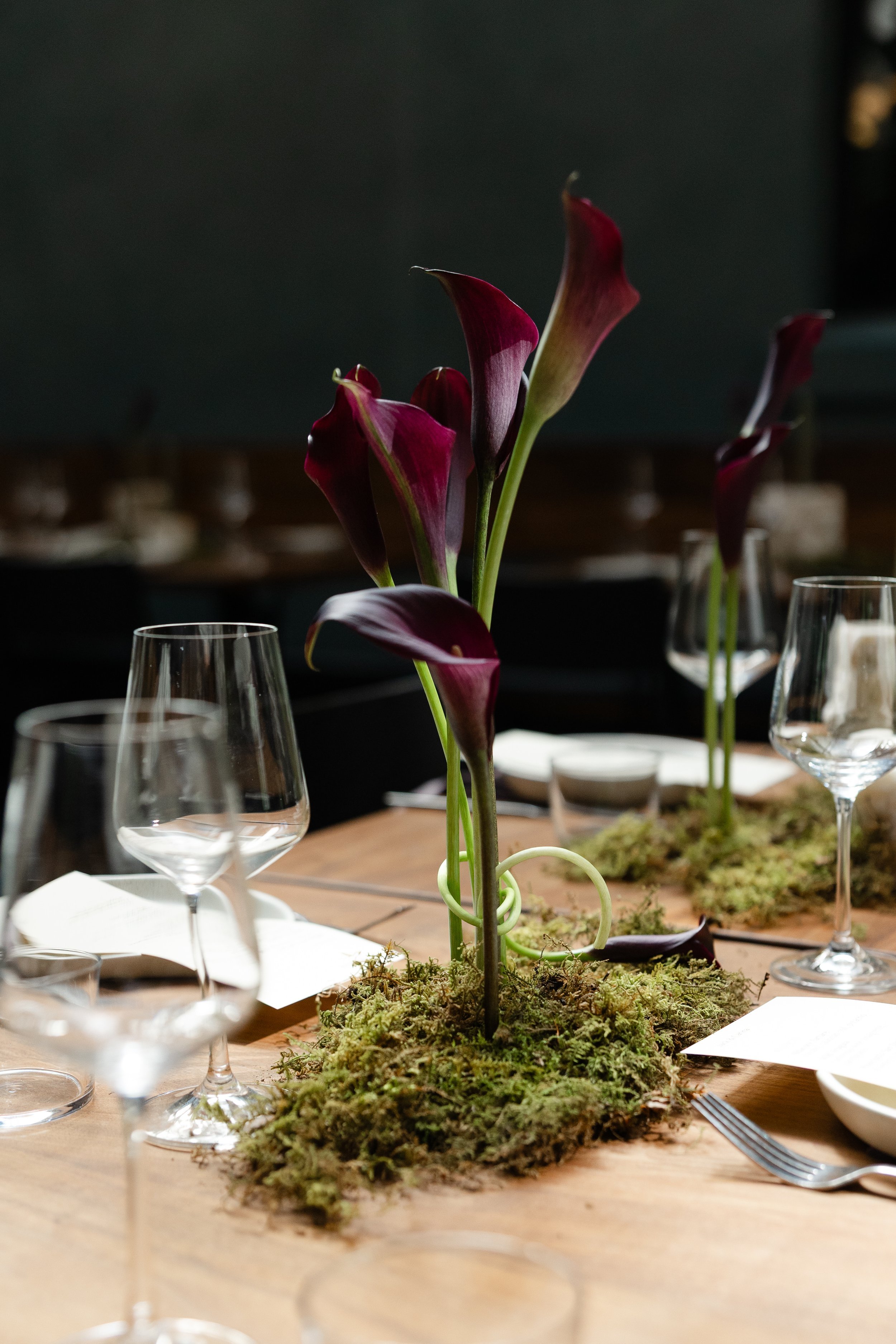 AllisonStoddard_CarinaJackPennyRoma-43 (1).jpg