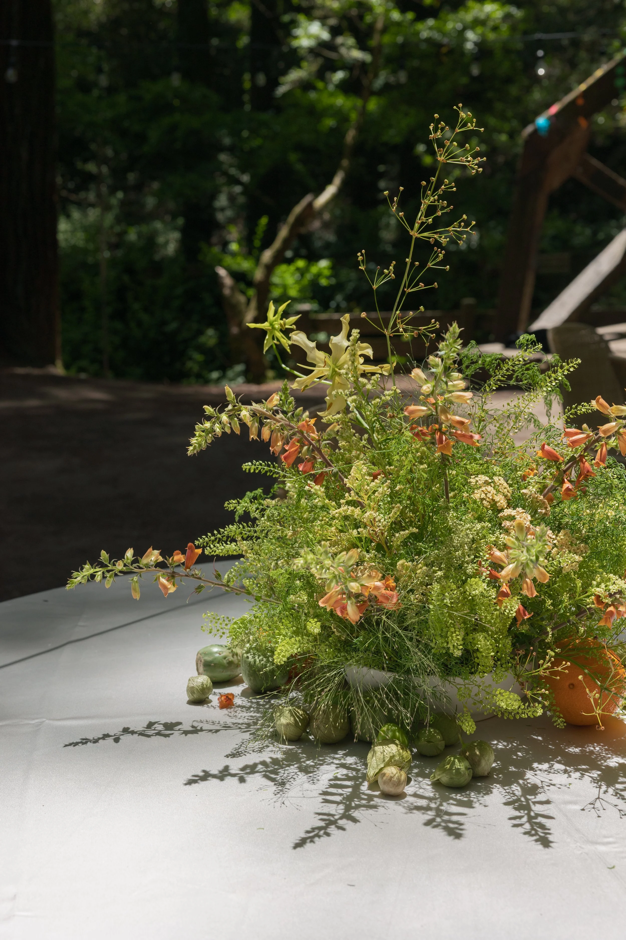 earthandevents_thousandcurrents_eventdetails-70 (1).jpg