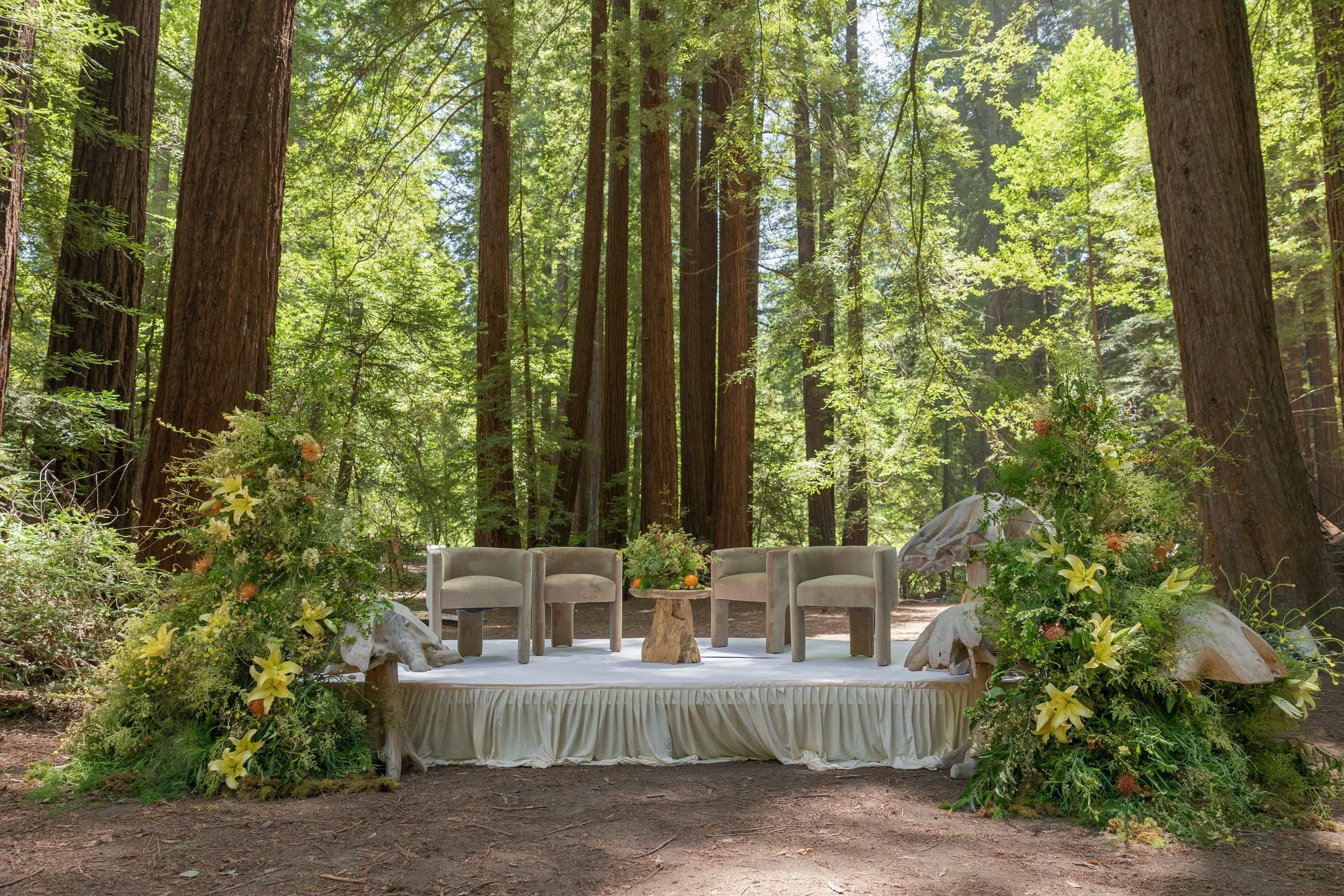 earthandevents_thousandcurrents_eventdetails-37 (1).jpg