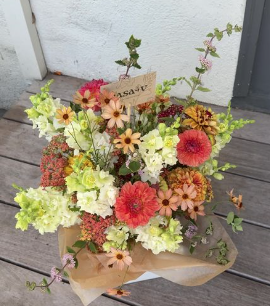 Screenshot 2026-03-04 at 3.38.49 PM.png