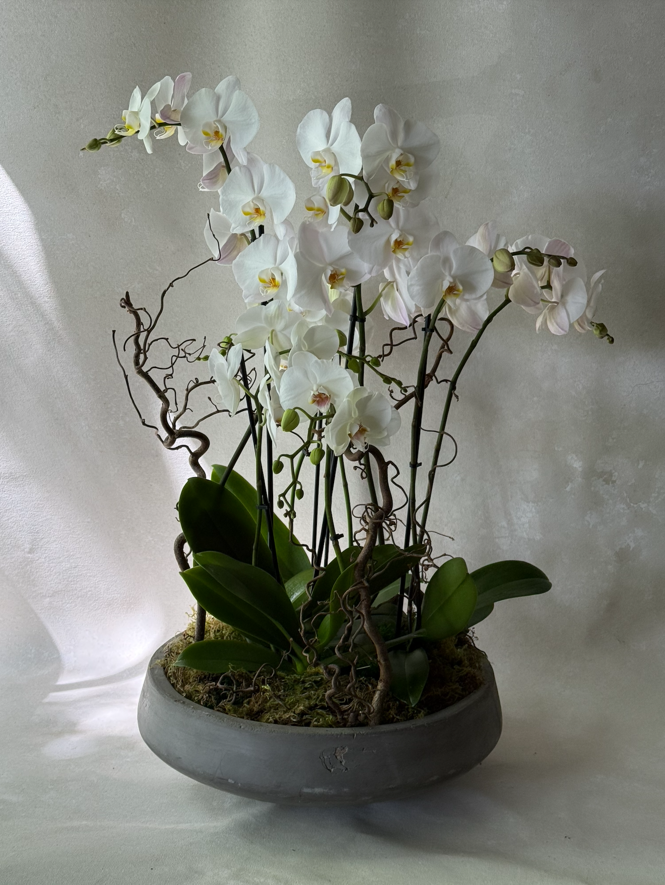 Orchid Bowl