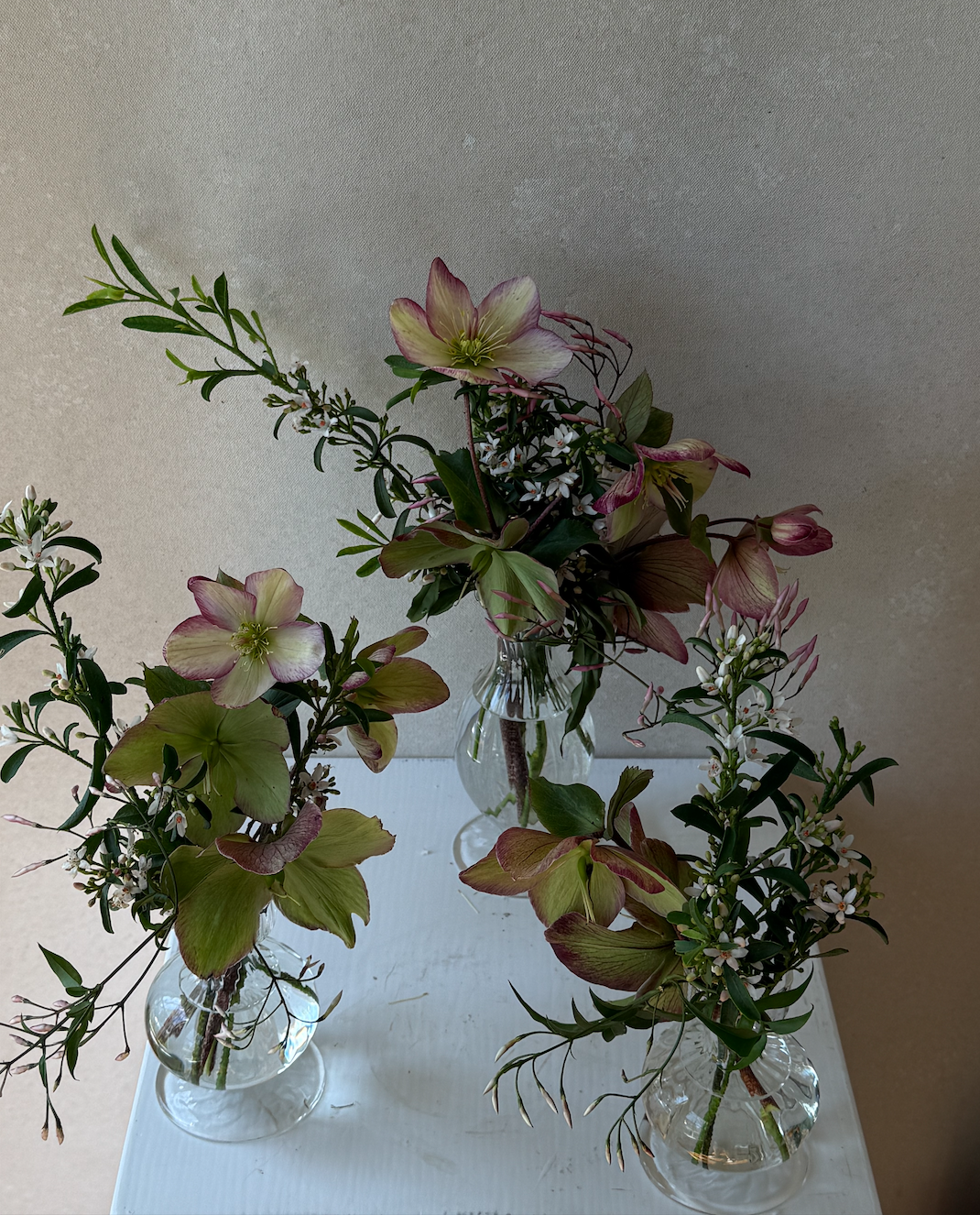 Screenshot 2026-03-05 at 4.29.01 PM.png