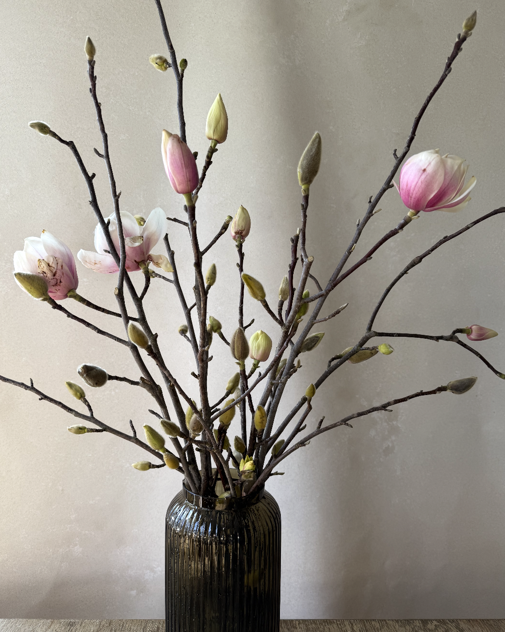 Screenshot 2026-01-20 at 6.45.55 PM.png