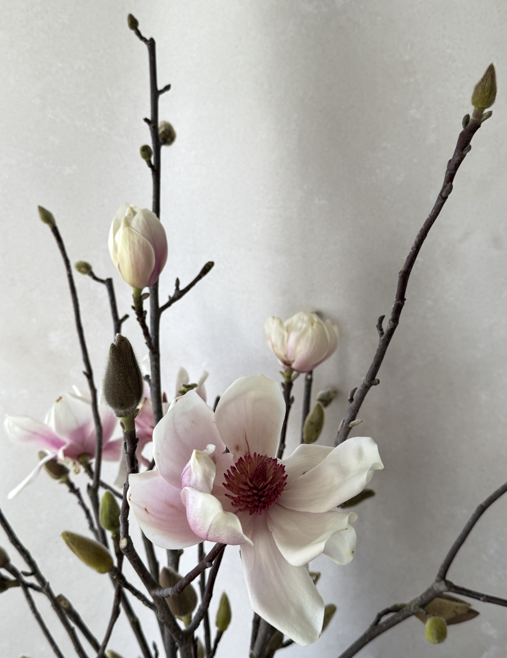 Blooming Branches Subcription