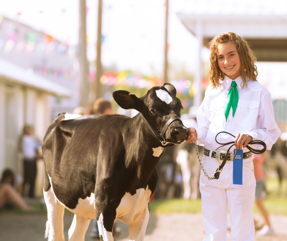 show livestock trailers