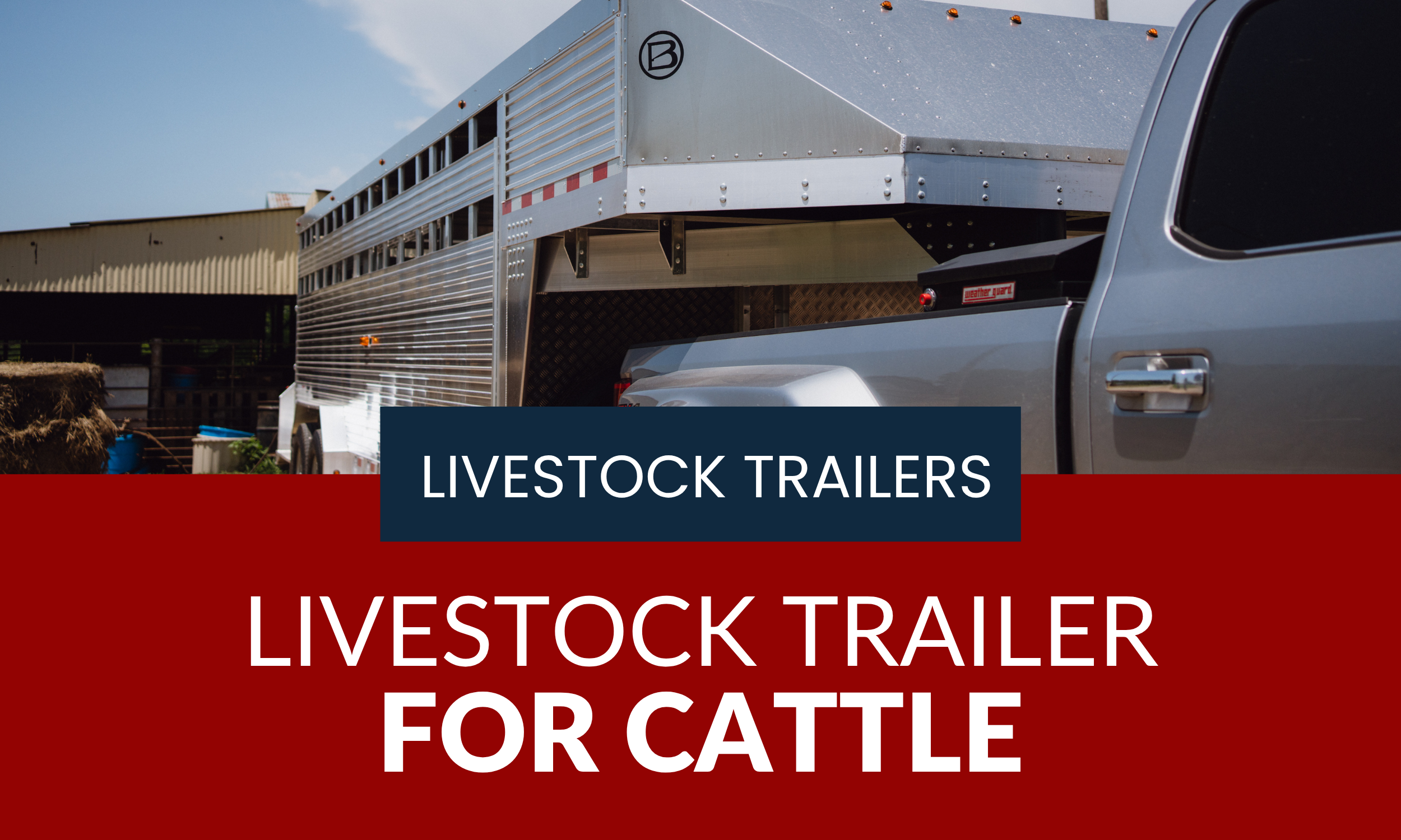 Affordable Aluminum Livestock Trailer for Cattle: our Guide to the Best Cattle Trailers for Sale