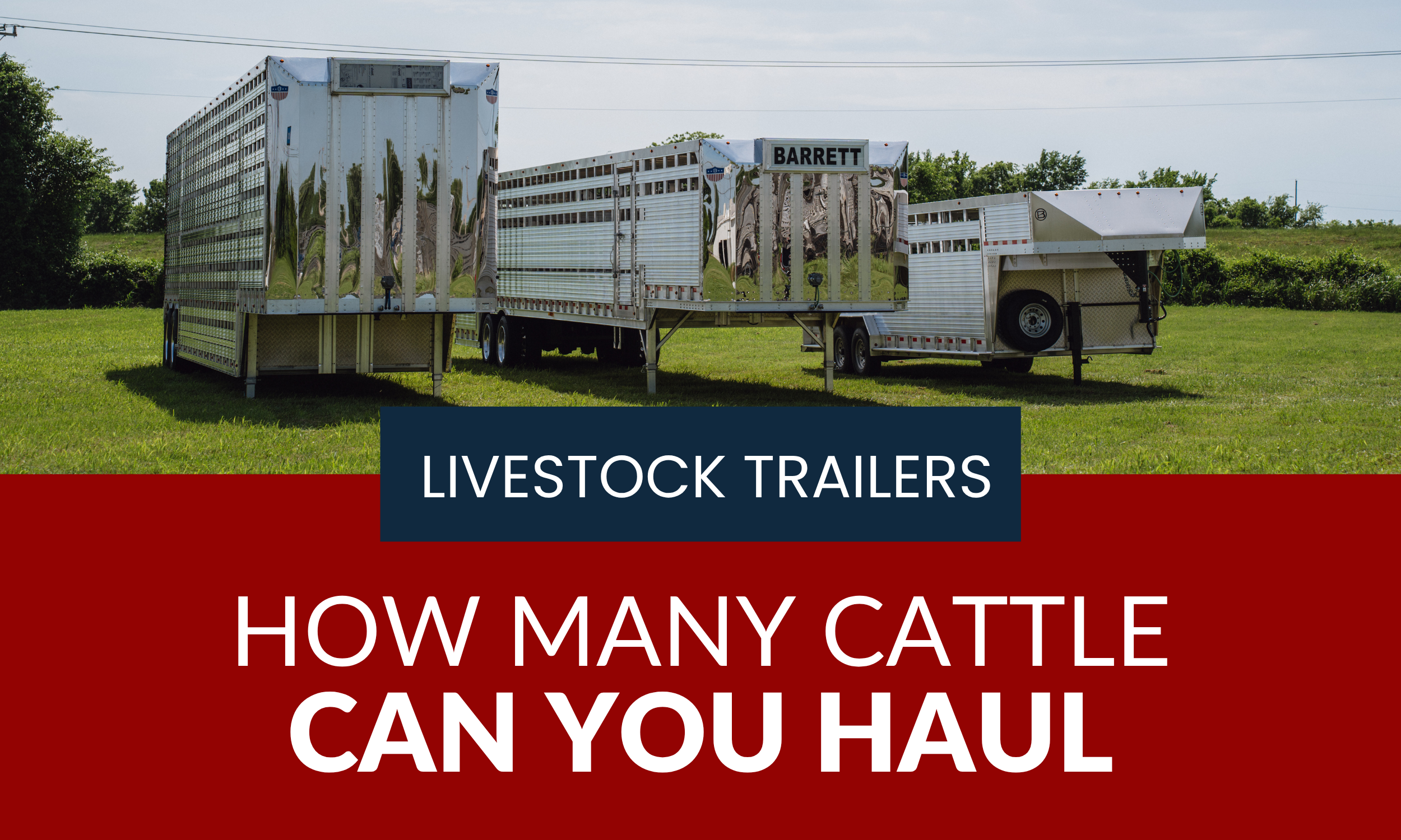 How Many Cows Fit in a 53 Foot Livestock Trailer?