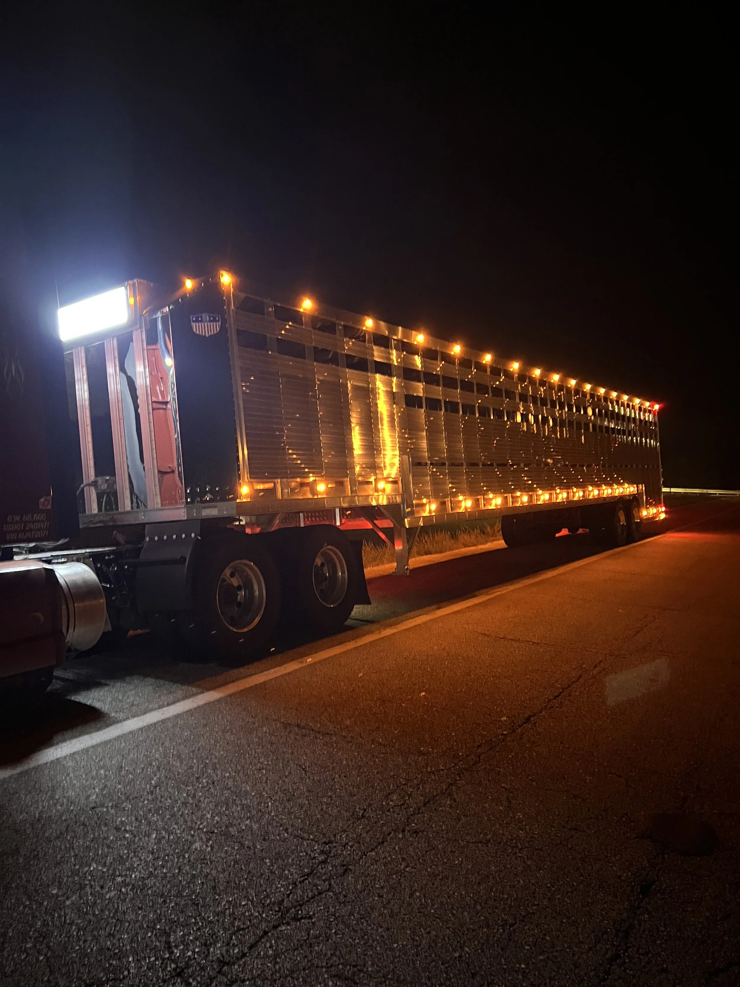 Barrett Ground Load Livestock Trailer_2196.jpg