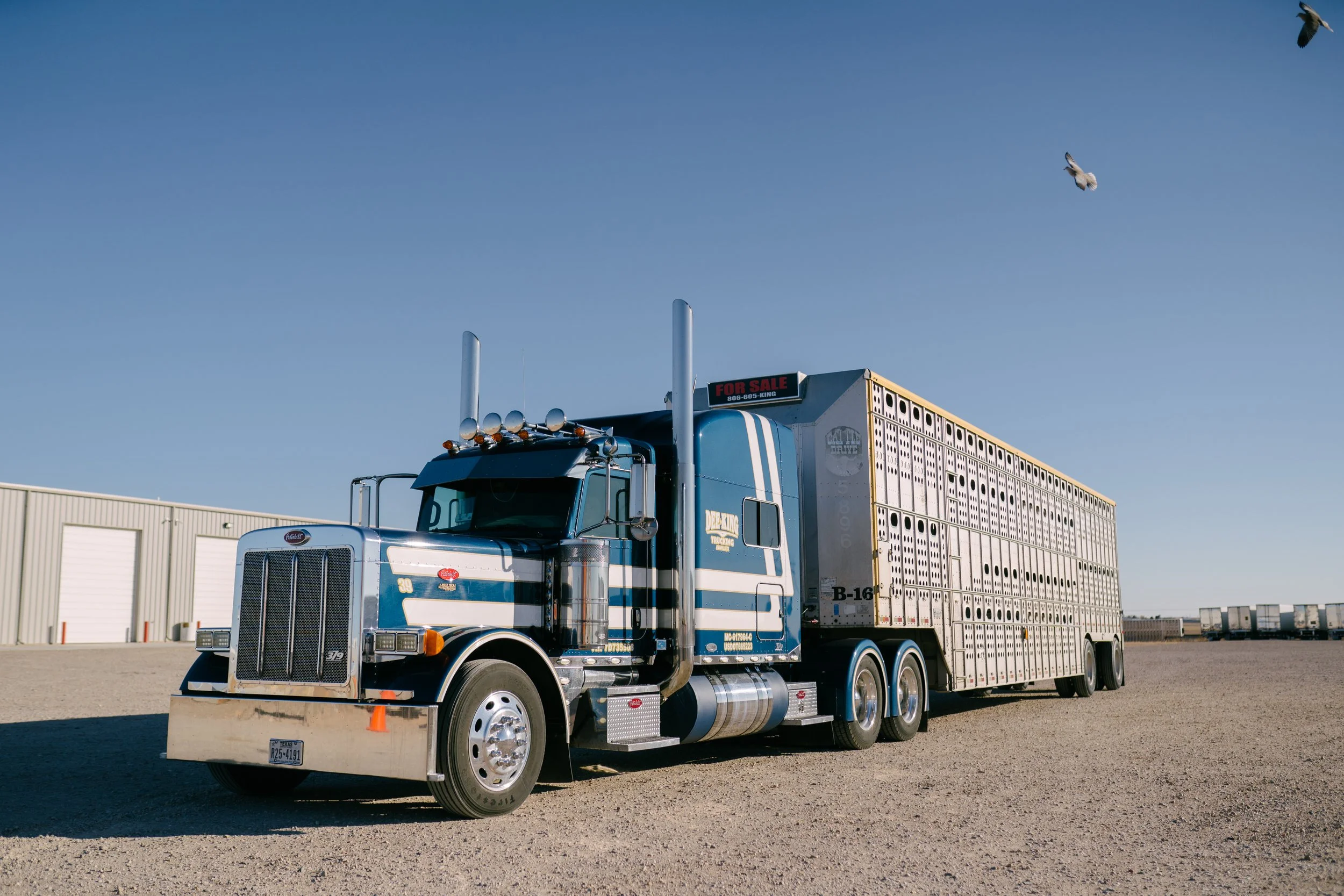Barrett Trailers Custom Cattle Trailers — Barrett Trailers - Livestock Trailer Experts