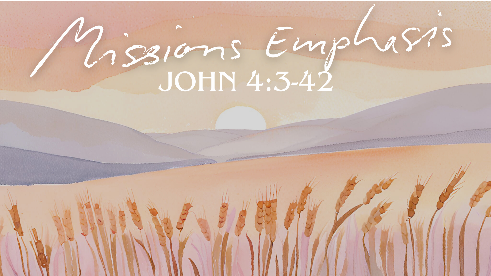 November 3, 2024 - John 4:3-42 - Mission Emphasis (Calvin Hofland)