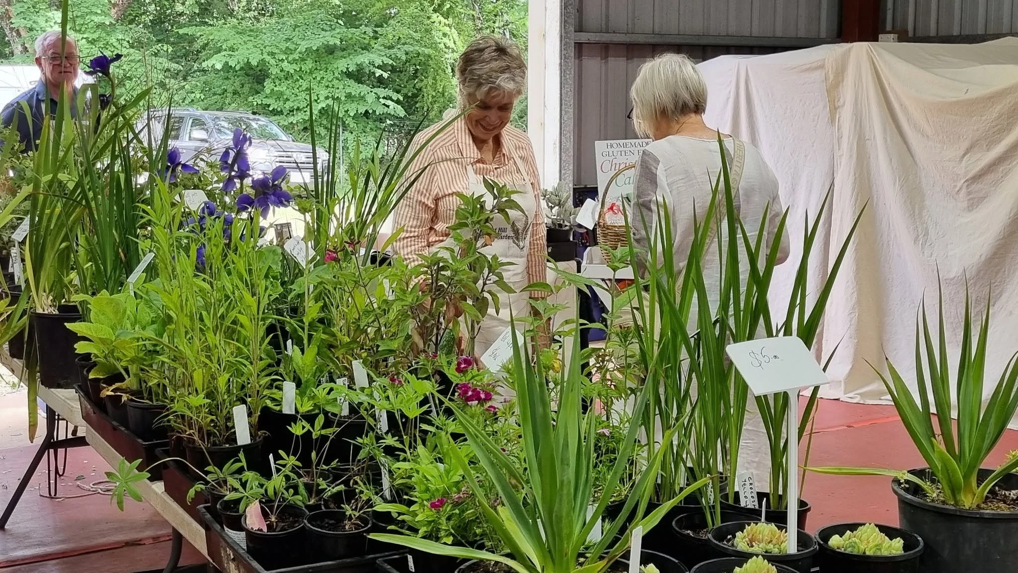 Daylesford Show - Plant Sales