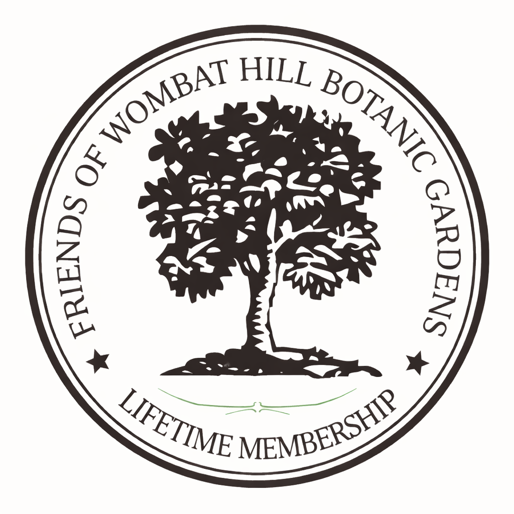 Individual - Lifetime Membership