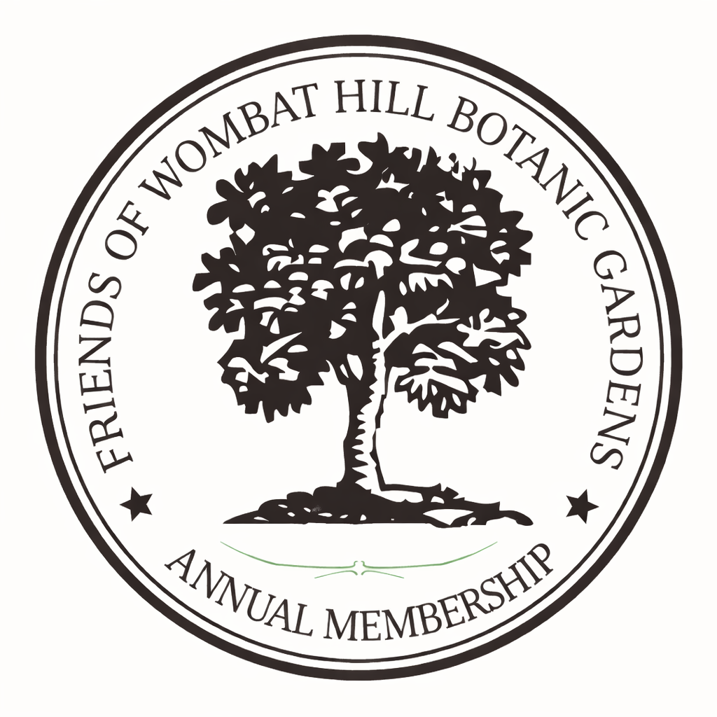 Individual - Annual Membership