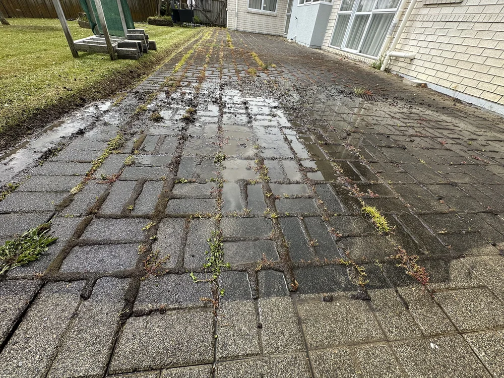 Paving Weed Removal & Joint Restoration