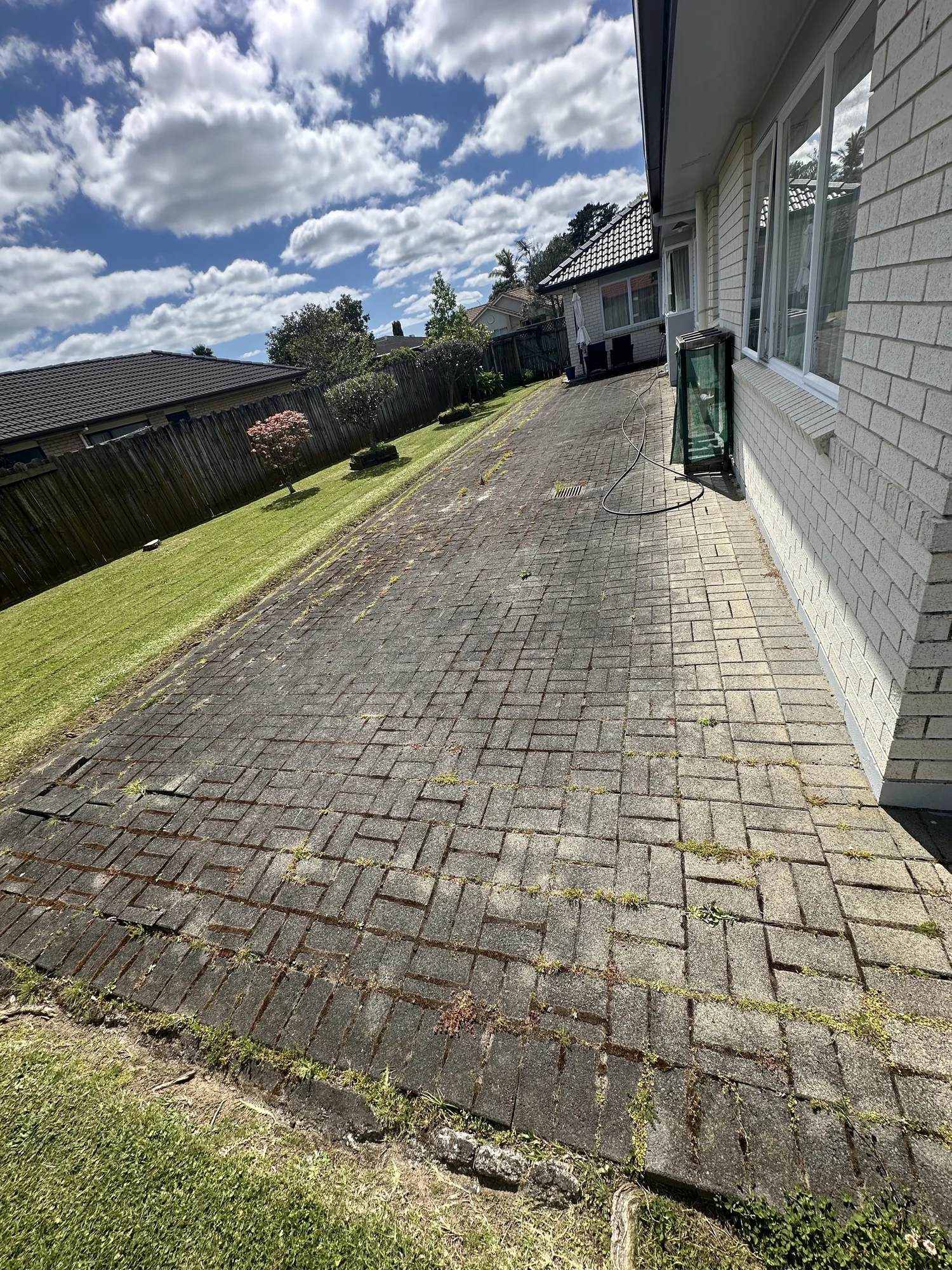 Weed-covered paving before cleaning and weed removal in Golflands
East Auckland