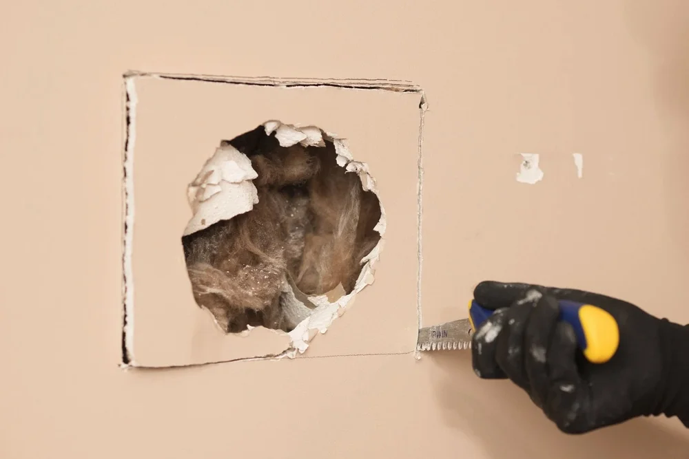 Hole in Wall Repair & Painting